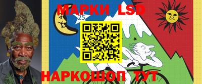 прущие крисы Будённовск