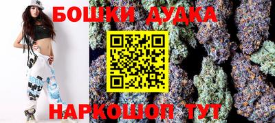 прущие крисы Будённовск