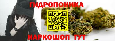прущие крисы Будённовск