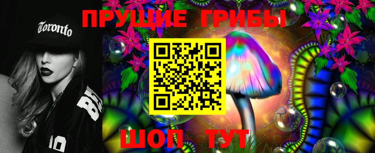 Псилоцибиновые грибы Cubensis Омск